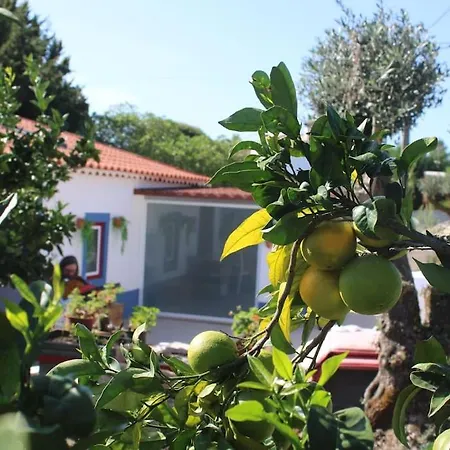 Casa Manuel E Maria * Fátima