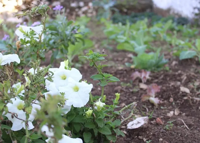 Casa vacanze Casa Manuel E Maria