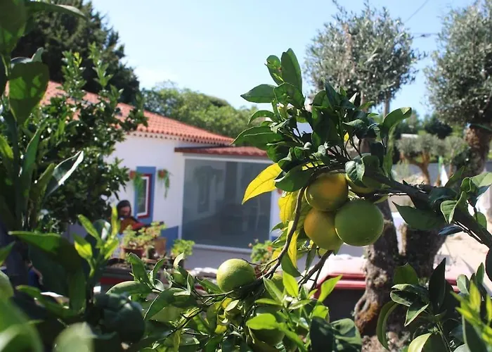 Casa Manuel E Maria * Fatima